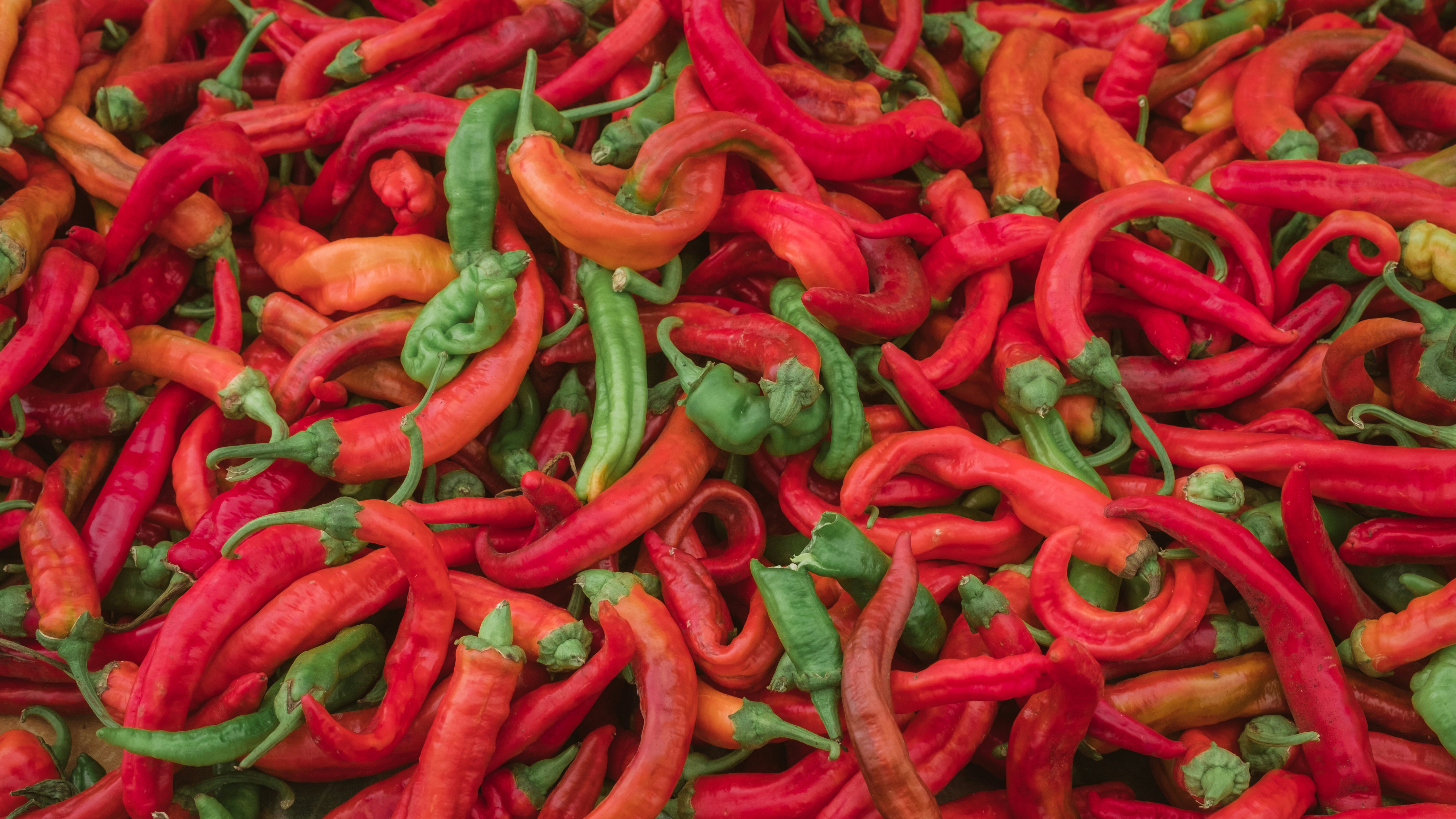 red chili lot in close up photography